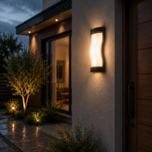 APPLIQUE LED 30W 6000K/3000K NOIR 1-1 ML